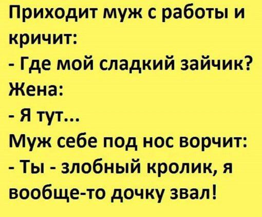 Приходит муж с работы и кричит Где мой сладкий зайчик Жена Я тут Муж себе под нос ворчит Ты злобный кролик я вообще то дочку звал
