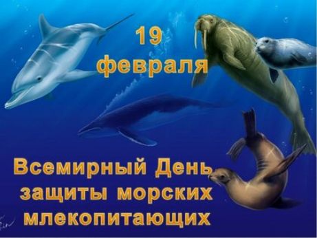 і ФОЦ Всемирный День защиты морских екопитающих