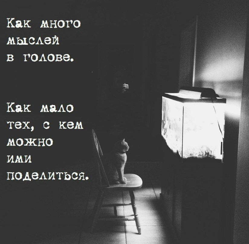 Кпк много МЫСАЗИ в гатве Как АЕАО тех с кем можно ими ПОАЭАИТЬСЯ га