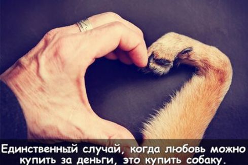 Единственный случай шла любовь можно КУПИТЬ За деньги ЭТП КУПИТЬ 6060