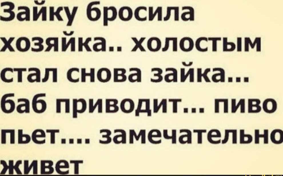 Зайку бросила хозяйка холостым стал снова зайка баб приводит пиво пьет замечательно жиды_