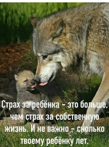 ётр зиъіійеважноіъс _ твоему ребёнку лет
