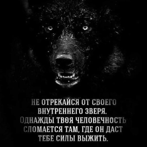 ка НЕ ОТРЕКАЙСЯ ОТ СВОЕ ВНУТРЕННЕГО ЗВЕРЯ АЮКДЫ ТВВЯ ЧШОВЕЧНОСТЪ ППМАЕТСЯ ТАМ ГДЕ ОН ЛАСТ ТЕБЕ СИПЫ выжить