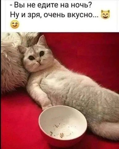 Вы не едите на ночь Ну и зря очень вкусно З