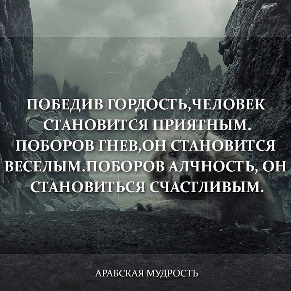 АРАБСКАЯ МУДРОСТЬ