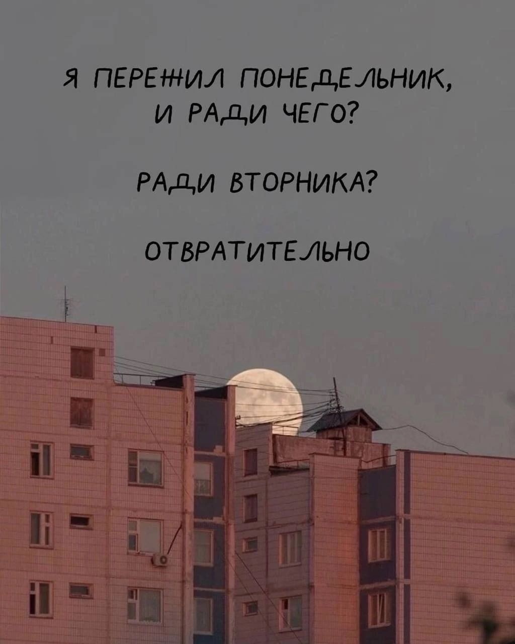 Я ПЕРЕіНИЛ ПОНЕДЕЛЬНИК И РАДИ ЧЕГО РАДИ ВТОРНИКА ОТВРАТИТЕЛЬНО