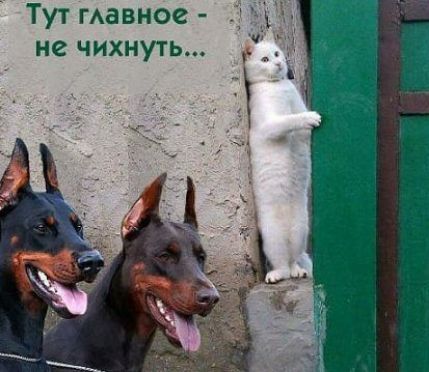 Тут гАавное не чихнуть