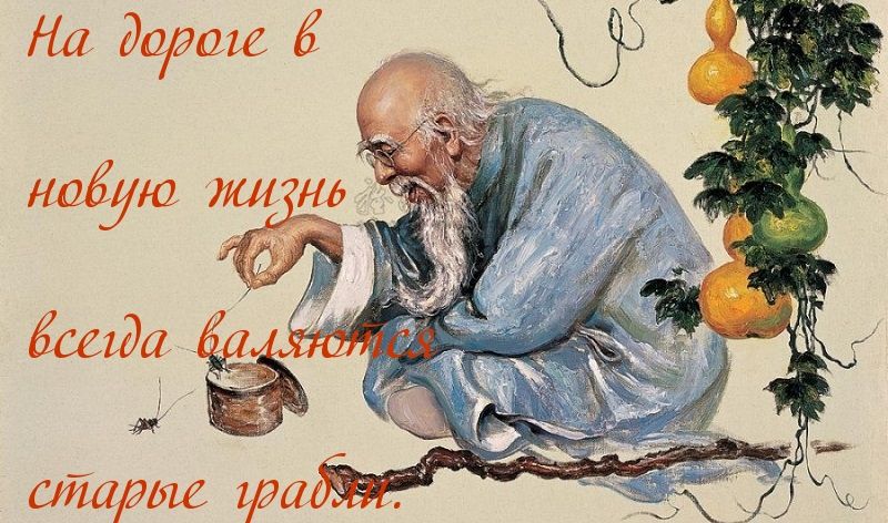 смартс 171