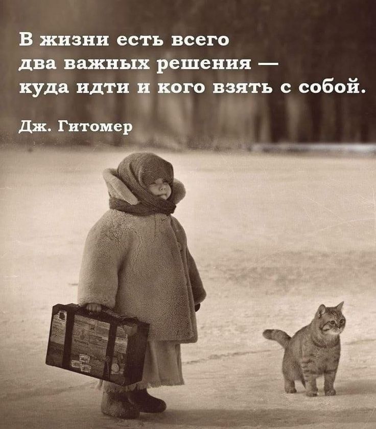 В жизни есть всего два БШНЪШ решения куда Идти кого взять с собой дк Гиш пиар
