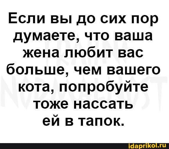 Если вы до сих пор думаете что ваша жена любит вас больше чем вашего кота попробуйте тоже нассать ей в тапок