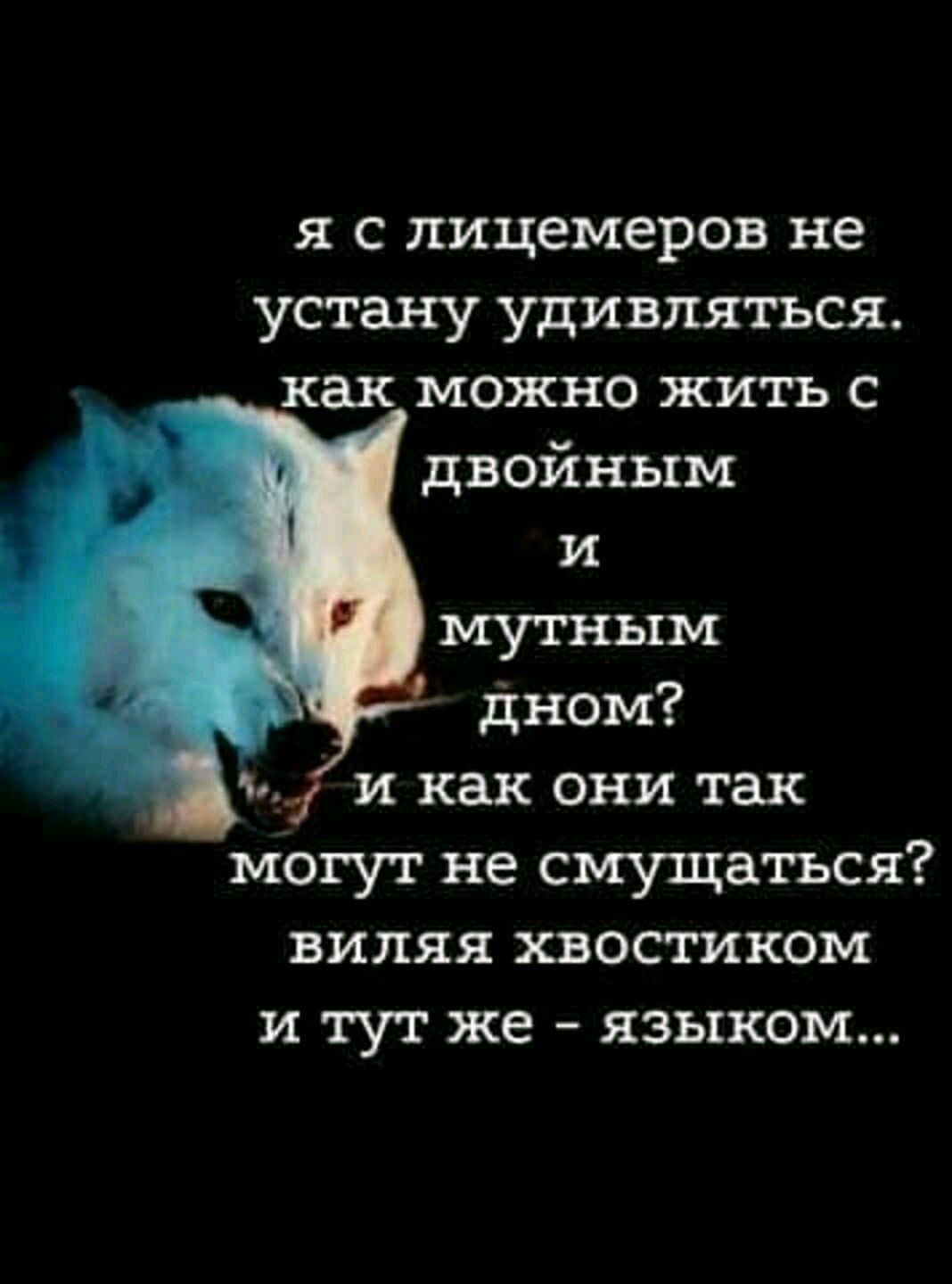я с лицемеров не устану удивляться как МОЖНО ЖИТЬ С двойным и мутным дном ч и как они так могут не смущаться виляя хвостиком и тут же языком