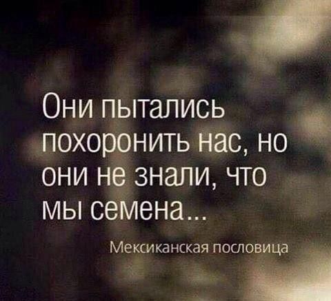 Они пытались похорёднить нас но е ОНИ Н ЗНЭЛИ ЧТО МЫ С ена Мексиканская ПОСПОВИЦЗ