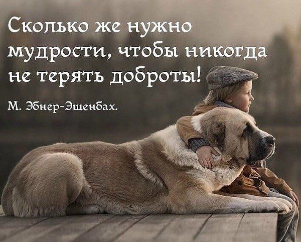 мудрости чтобы не терять доброты ЖЪ м Эбнар Эшвибах