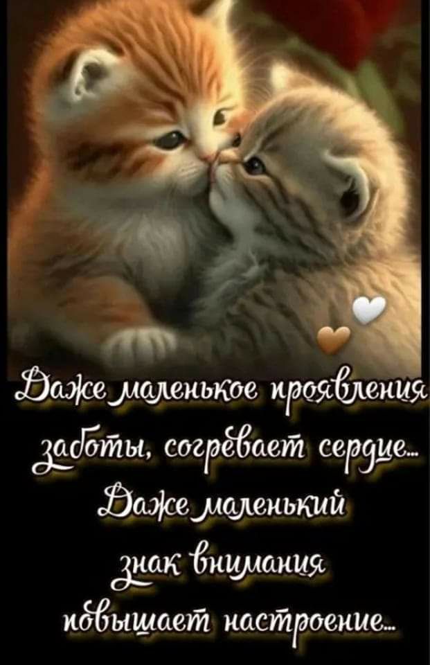 Бажмщюиькое прибиты дуэты страдает сетке Эдамщшкышй ддт Бищлаиия идвышаетй настроение