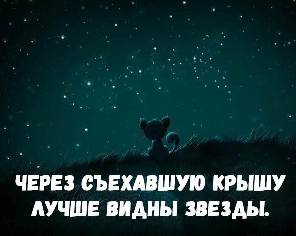 ЧЕРЕЗ ВЪЕШШУЮ КРЫШУ ЛУЧШЕ видны ЗВЕЗДЫ