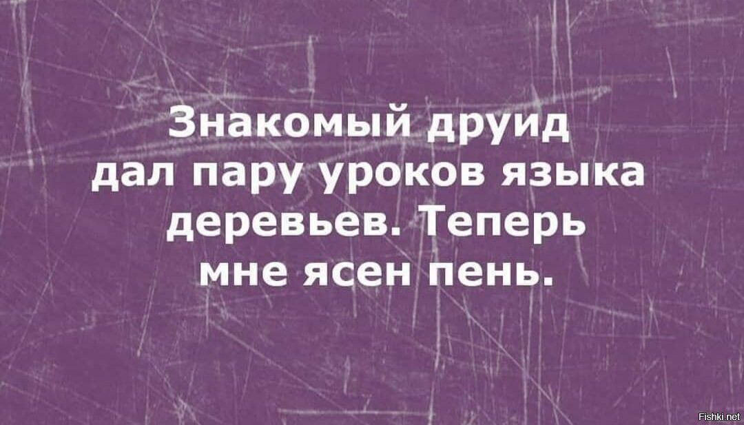 Знакомыйдрууід дал пару уроков языка деревьев Теперь мне ясен і1ень