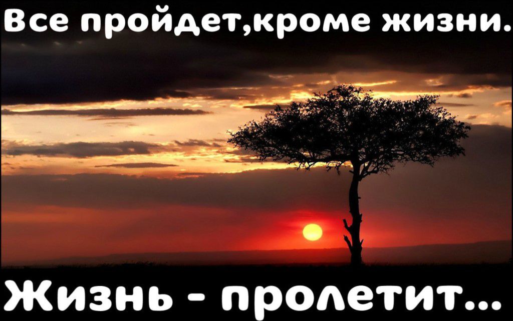 Жизнь проходит. Все пройдет кроме жизни жизнь пролетит. Всё пройдет, кроме жизни... ..Жизнь пролетит.... Всё пройдёт кроме жизни жизнь. Всё пройдёт а жизнь пролетит.