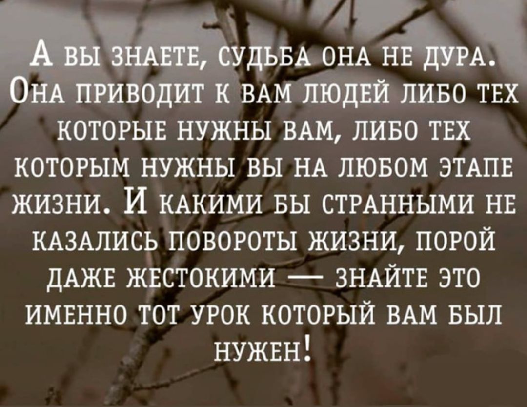 БА ОНА А шводит к ВАМ пиво твх которых нужны ВАМ пиво твх которым нужны вы НА лювом ЭТАПЕ жизни И КАКИМИ вы СТРАННЫМИ нв КАЗАЛИСХЭ повороты жизни порой дАЖЕ жестокими зщйтв это имвнно тот урок который ВАМ выл нужвн