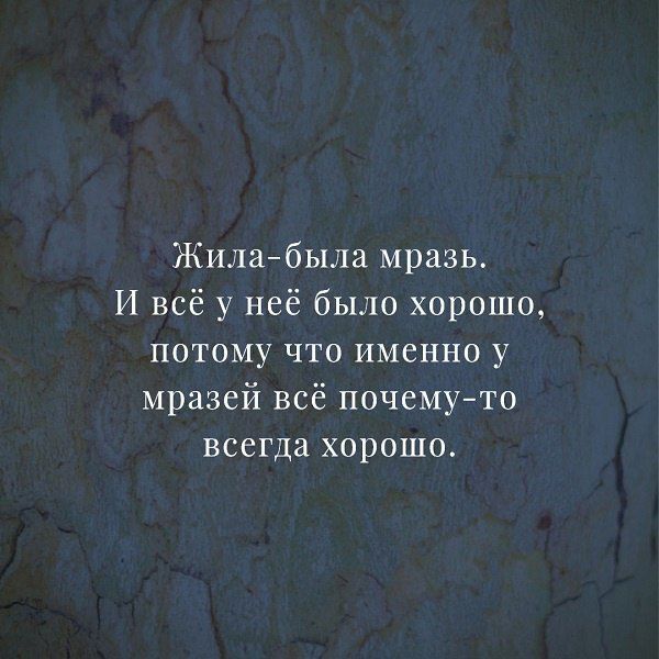 Жилабыла мразь И всё у неё было хорошо ПОТОМУ ЧТО ИМЕННО у мразей всё почемуто всегда хорошо