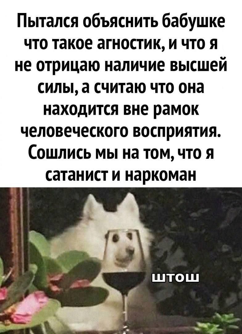 Пытался объяснить бабушке что такое агностик и что я не отрицаю наличие высшей силы а считаю что она находится вне рамок человеческого восприятия Сошлись мы на том что я СЗТЗНИСТ И наркоман