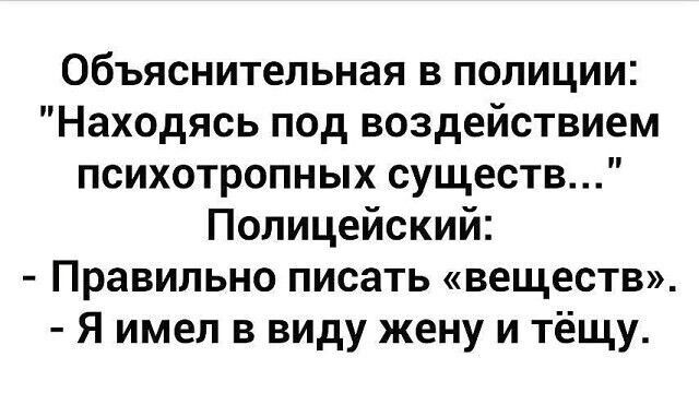Объяснительная в полиции Находясь под воздействием психотропных существ Полицейский Правильно писать веществ Я имел в виду жену и тёщу