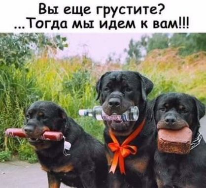 Вы еще грустите Т9гда мы идем к вам нч ЁЁ _ 1 Ы