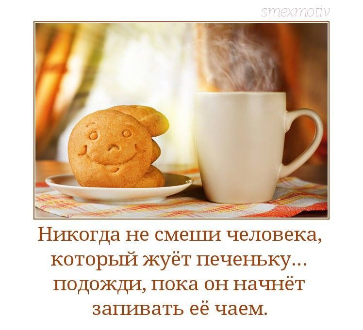 Никогда не смеши человека который жуёт печеньку подожди пока он начнёт запиватъ её чаем
