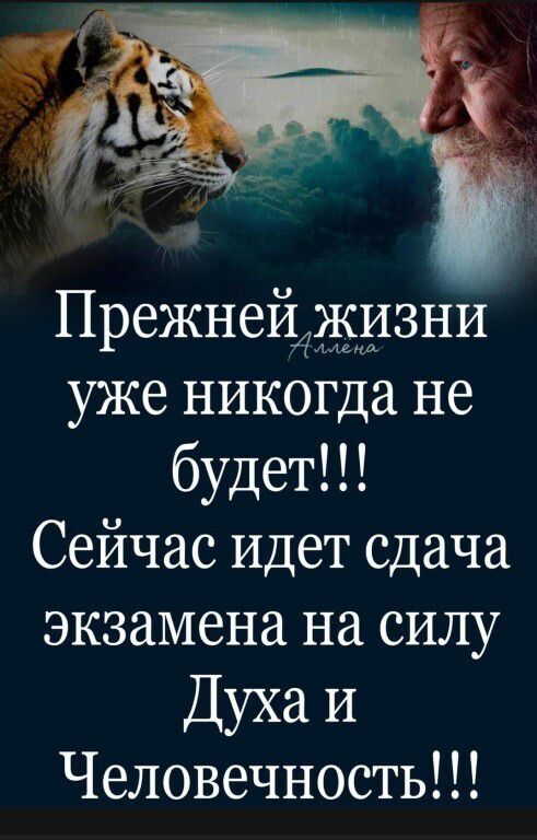Прежнейддцсмизни уже никогда не будет Сейчас Идет сдача экзамена на СИЛУ Духа и Человечность