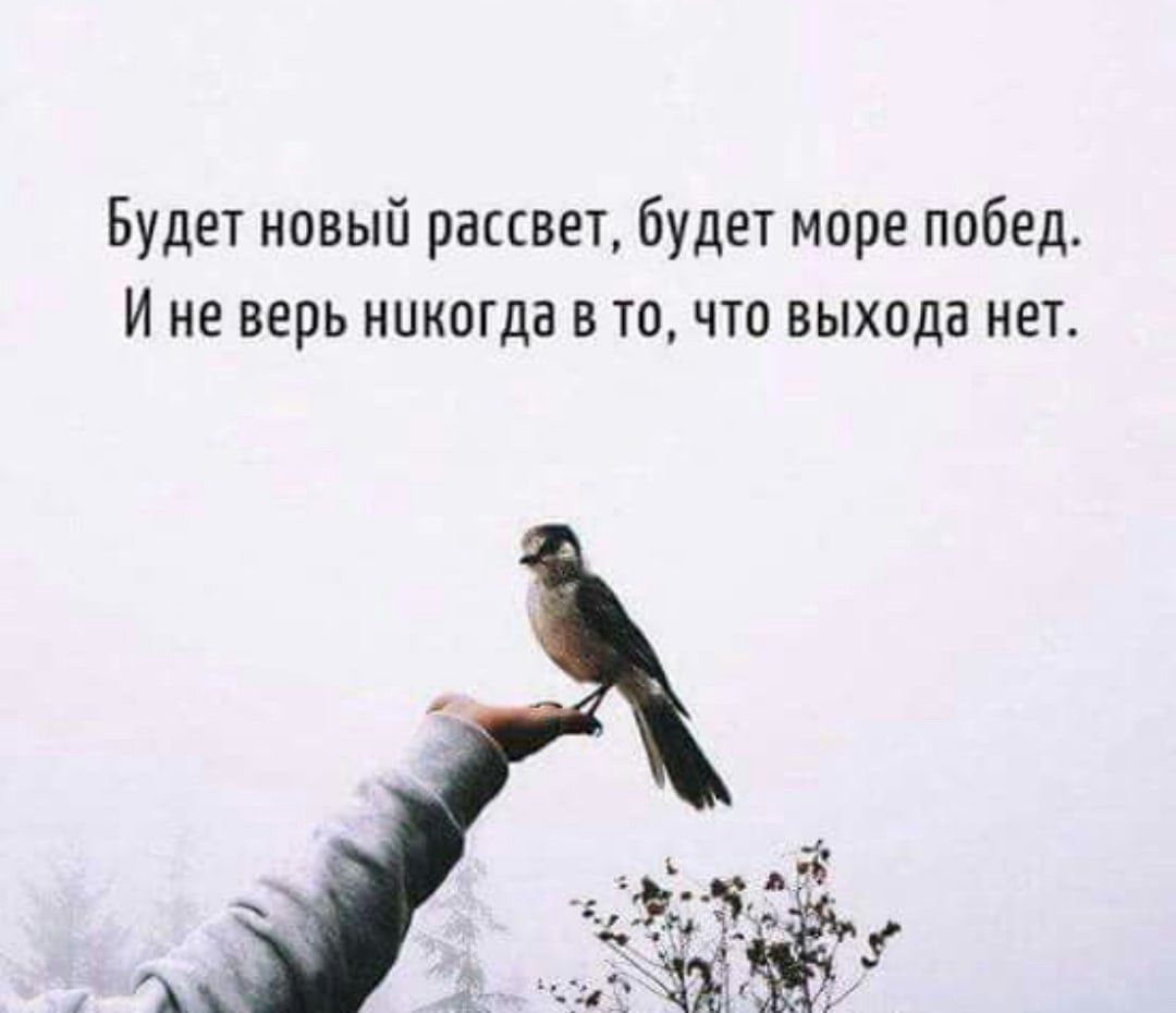 Будет новый рассвет будет море побед И не верь никогда в то что выхода нет