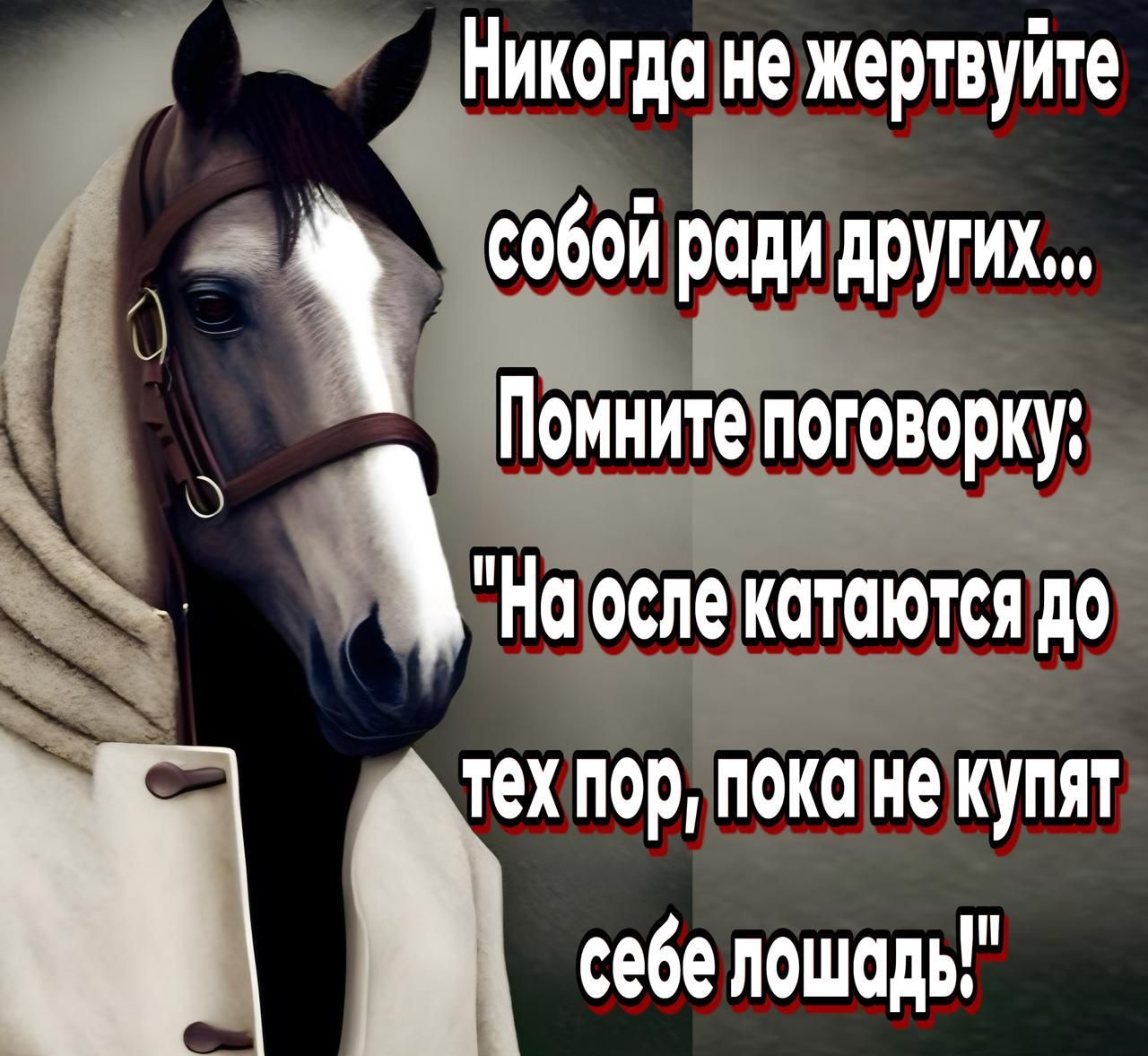 20 ДНикогда не жертвуйте в Собой ради других і себе лошадь