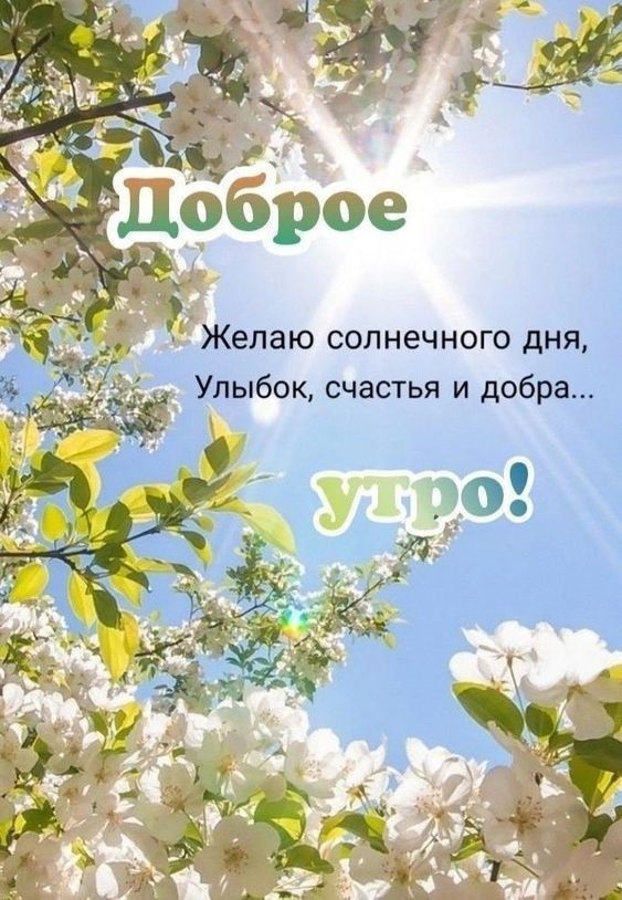 Доброе
Желаю солнечного дня,
Улыбок, счастья и добра...
утро!