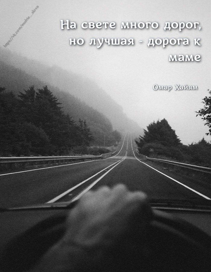 На свете много дорог, но лучшая - дорога к маме
Омар Хайям