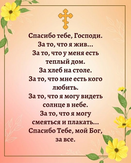 Спасибо тебе, Господи.
За то, что я жив...
За то, что у меня есть теплый дом.
За хлеб на столе.
За то, что мне есть кого любить.
За то, что я могу видеть солнце в небе.
За то, что я могу смеяться и плакать...
Спасибо Тебе, мой Бог, за все.