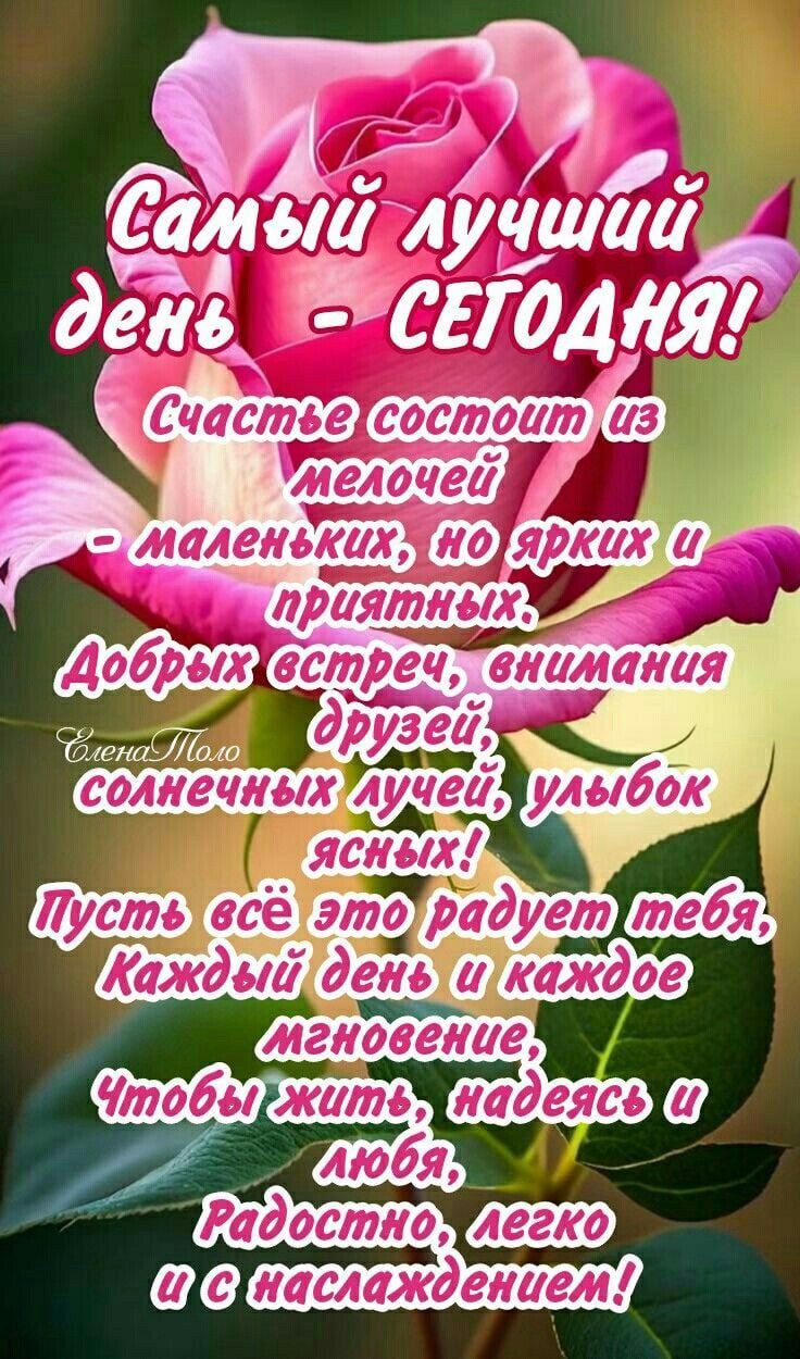 Самый лучший день - СЕГОДНЯ!
Счастье состоит из мелочей - маленьких, но ярких и приятных.
Добрых встреч, внимания друзей, солнечных лучей, улыбок ясных!
Пусть всё это радует тебя, Каждый день и каждое мгновение,
Чтобы жить, надеясь и любя, Радостью, легко и с наслаждением!