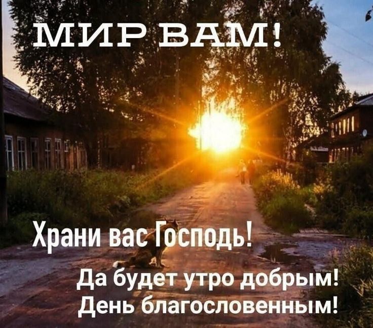 МИР ВАМ! Храни вас Господь! Да будет утро добрым! День благословенным!
