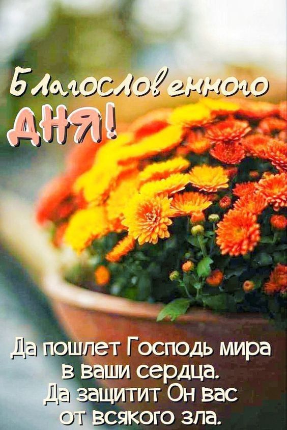 Благословенного ДНЯ! Да пошлет Господь мира в ваши сердца. Да защитит Он вас от всякого зла.