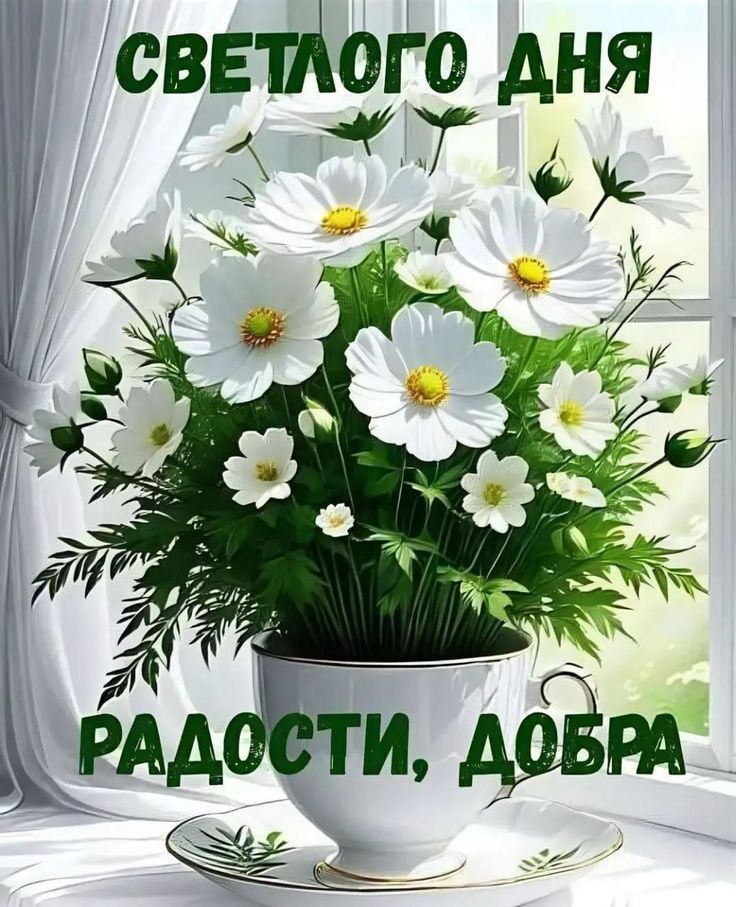 Светлого дня, радости, добра