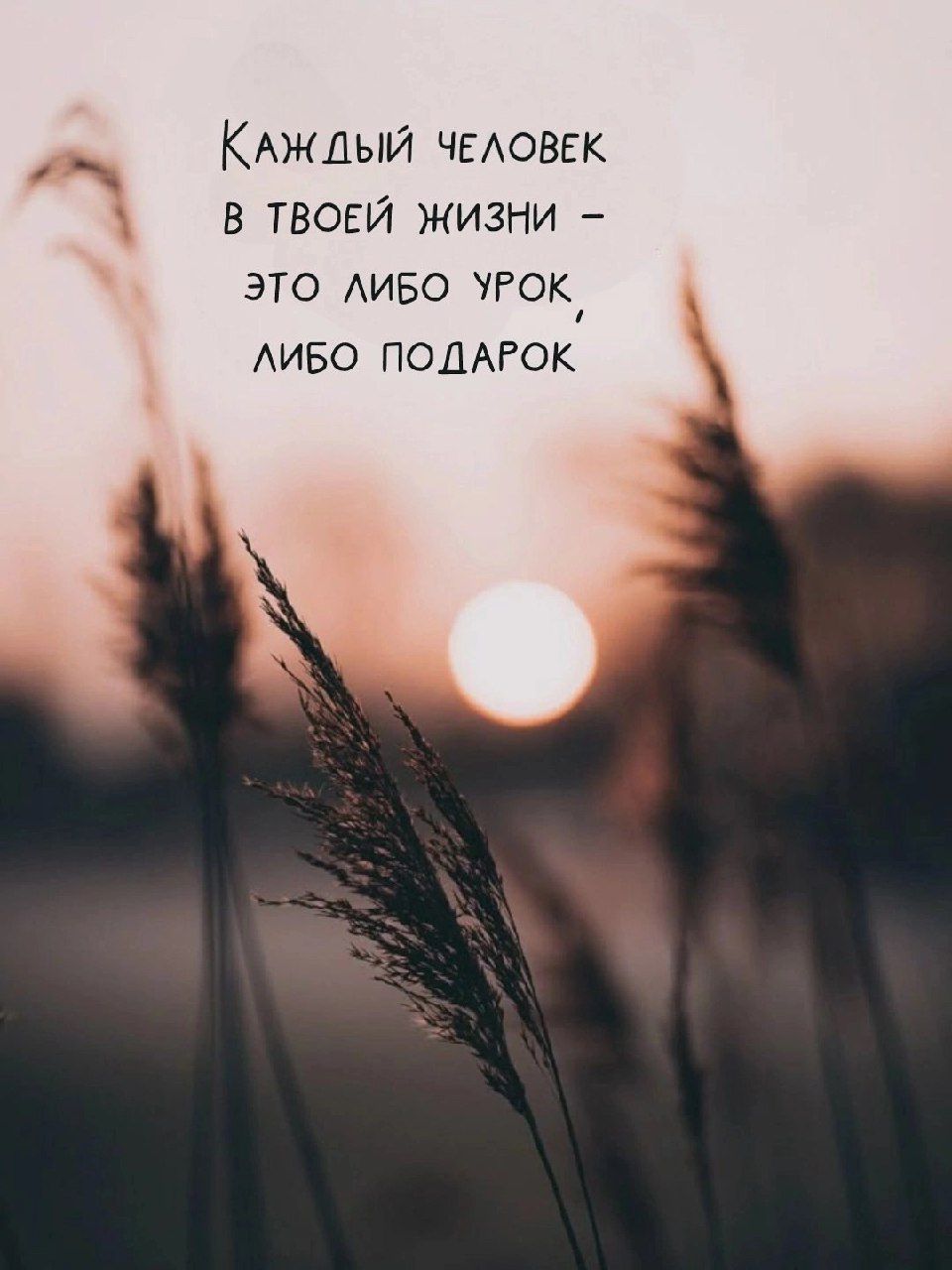 Каждый человек в твоей жизни – это либо урок, либо подарок