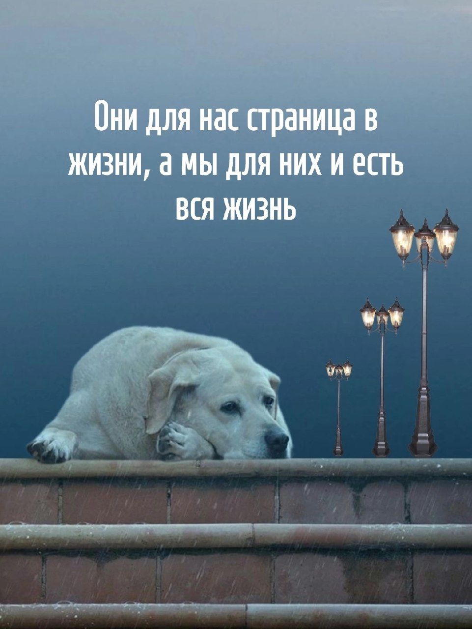 Они для нас страница в жизни, а мы для них и есть вся жизнь