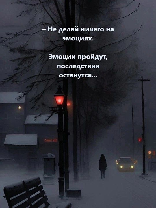 – Не делай ничего на эмоциях.
Эмоции пройдут, последствия останутся...