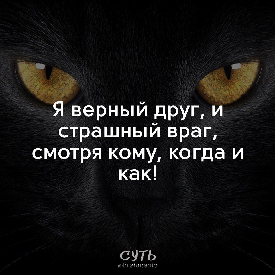 Я верный друг, и страшный враг, смотря кому, когда и как!