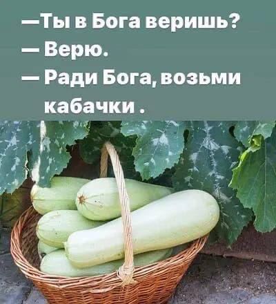 — Ты в Бога веришь? — Верю. — Ради Бога, возьми кабачки.