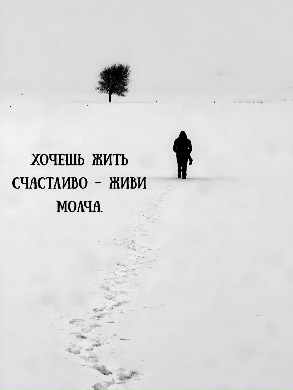 Хочешь жить счастливо - живи молча.