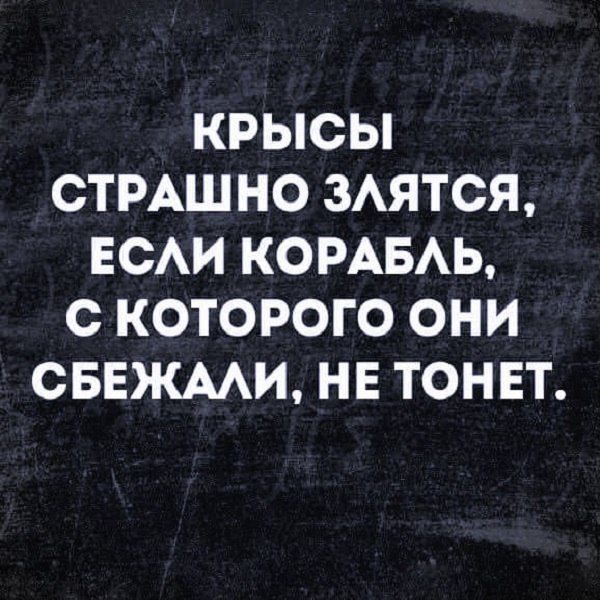 КРЫСЫ СТРАШНО ЗЛЯТСЯ, ЕСЛИ КОРАБЛЬ, С КОТОРОГО ОНИ СБЕЖАЛИ, НЕ ТОНЕТ.