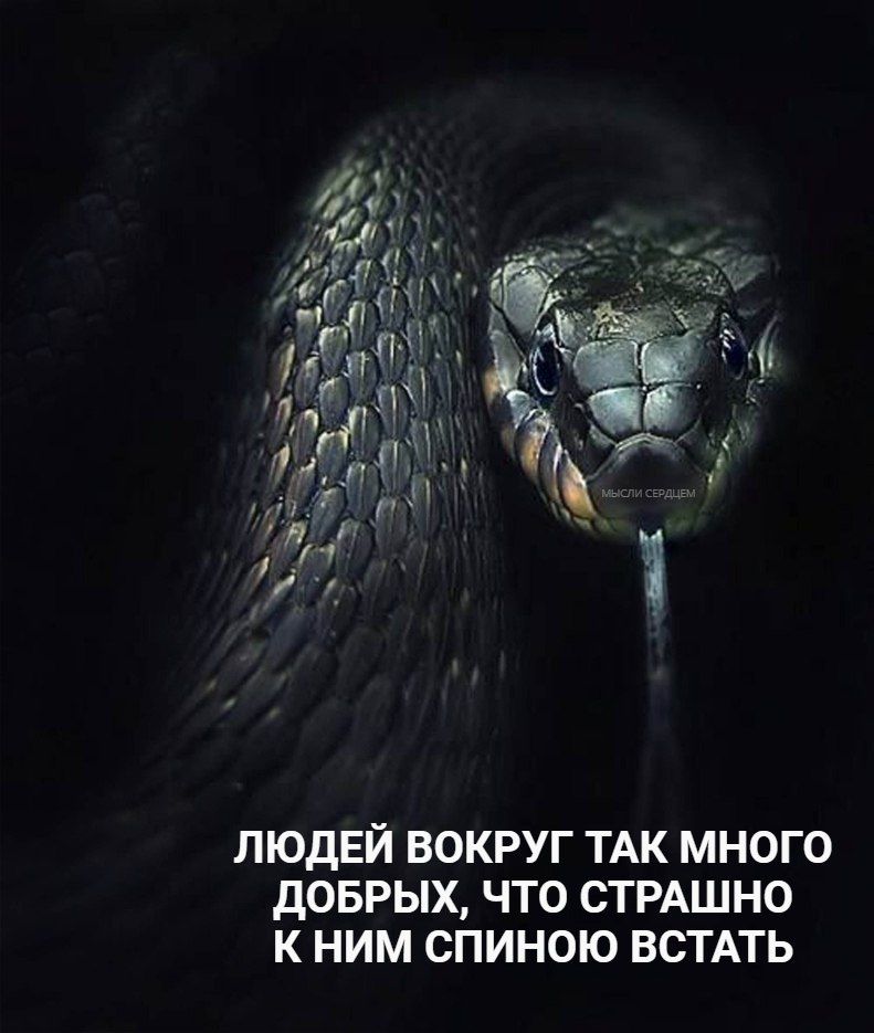 ЛЮДЕЙ ВОКРУГ ТАК МНОГО ДОБРЫХ, ЧТО СТРАШНО К НИМ СПИНОЮ ВСТАТЬ