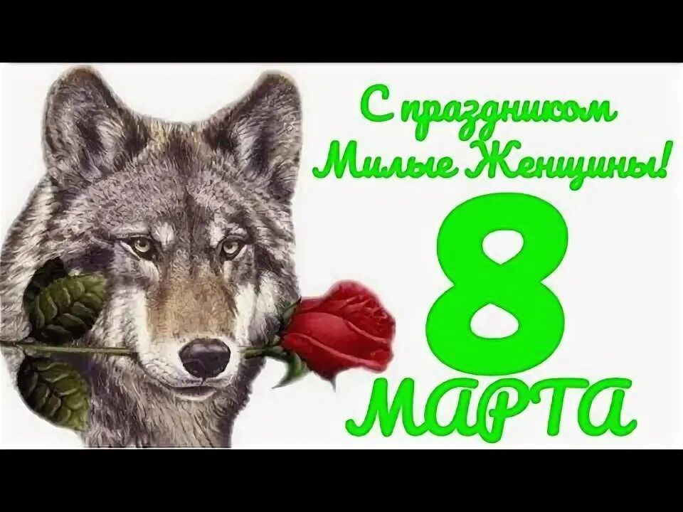 С праздником Милые Женщины! 8 марта