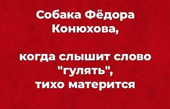 Собака Фёдора Конюхова когда слышит слово гулять тихо матерится
