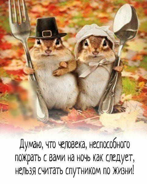 думаю что неспособного пожрать вами на ночь как следует нельзя считать спутником по жизни