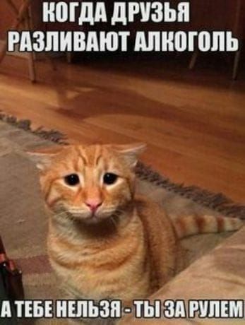 МДА дРУЗЬП РАЗЛИВАЮТ МПШПШЬ _ ___ЗА