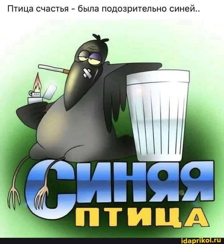 Птица счастья была подозрительна Синай п п